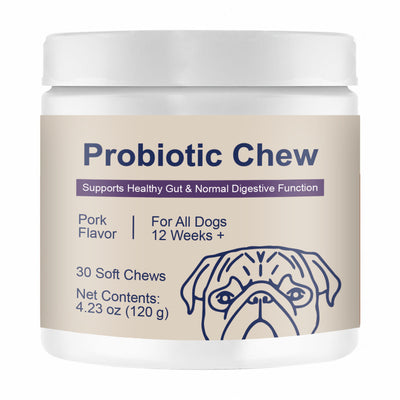 Probióticos Masticables para Perros - Salud Digestiva e Intestinal - Image 6