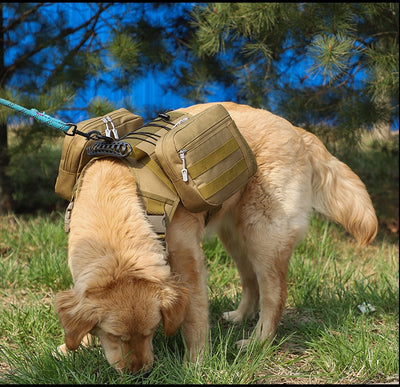 Pack de Snacks para Perros Medianos y Grandes - Variedad Completa - Image 12