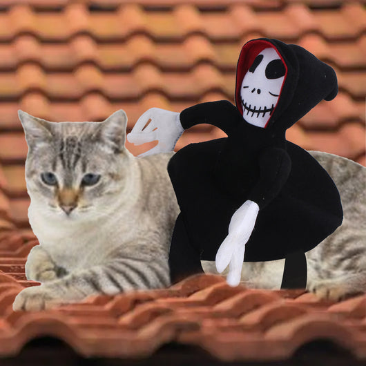 Disfraz Divertido para Mascotas Halloween - Chaleco Araña y Calabaza - Image 12