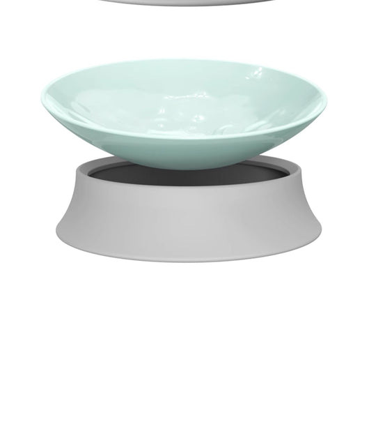 Comedero Ergonómico para Gatos con Soporte Cervical - Image 19