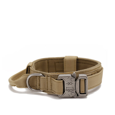 Collar Ajustable para Perro con Cierre Rápido de Entrenamiento - Image 8