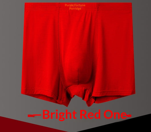 Calzoncillos Boxer Briefs Talla Grande Transpirables con Cintura Alta - Image 11