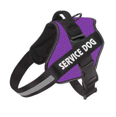 Arnés de Pecho Fashion para Perro con Correa Integrada - Image 5