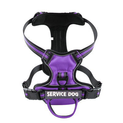 Arnés Personalizado para Perro en Tela Oxford - Image 5