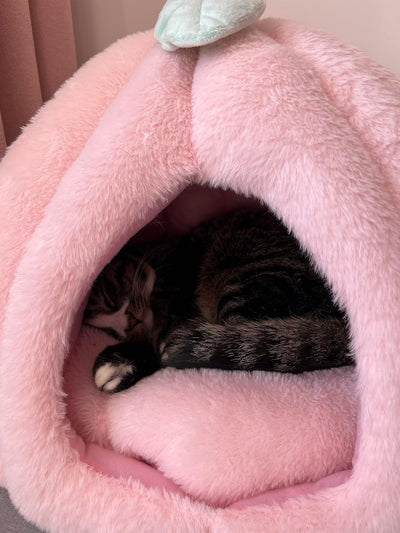 Casa Cueva para Gatos Rosa con Cojín Removible - Cama Refugio Suave - Image 4