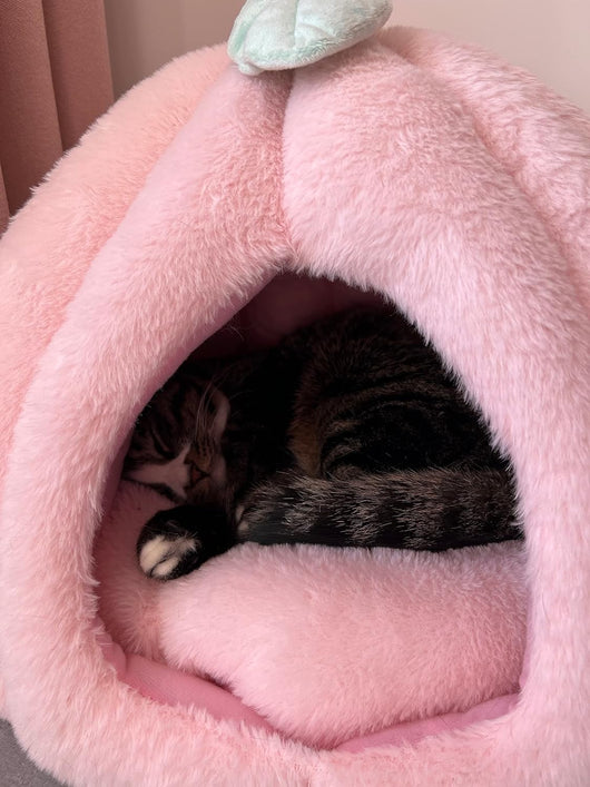 Casa Cueva para Gatos Rosa con Cojín Removible - Cama Refugio Suave - Image 4