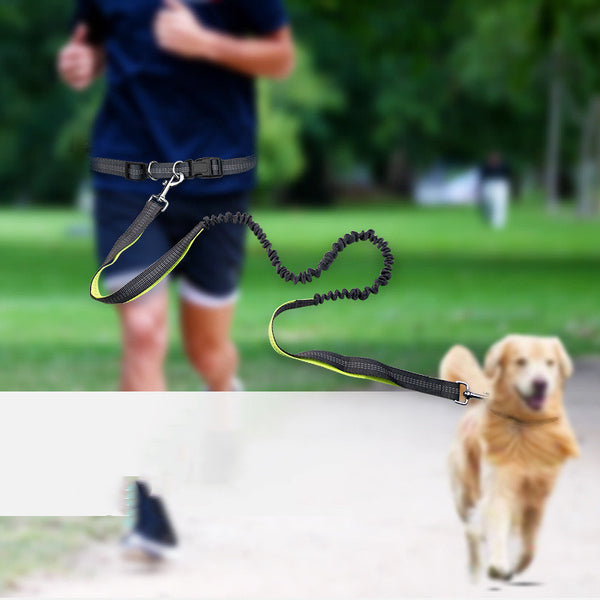 Cinturón de Paseo Canino con Correa Telescópica Antiimpacto Dual