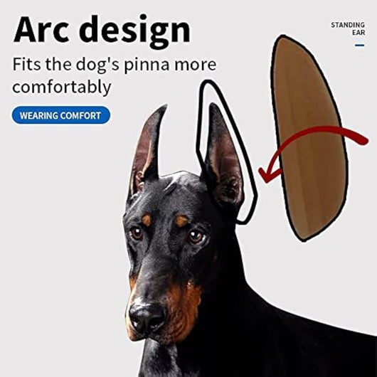 Corrector de Orejas para Perros - Soporte Adhesivo para Orejas Erguidas - Image 13