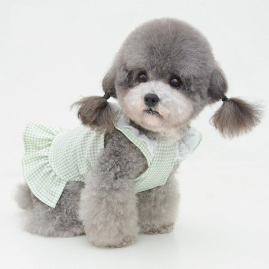 Vestido Protector Solar para Mascotas - Diseño Princesa - Image 19