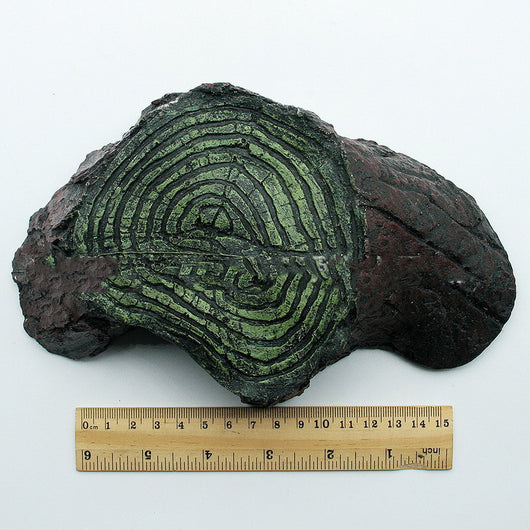 Rocódromo para Balcón - Estructura de Escalada para Reptiles - Image 5