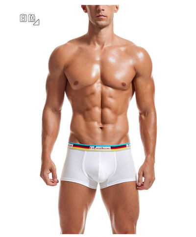 Bóxers de Algodón de Tiro Medio para Hombre con Cintura Arcoíris - Image 14