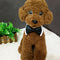 Babero Elegante con Collar de Moño y Joyería