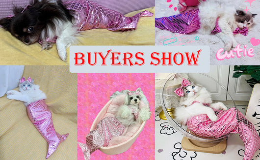 Disfraz de Sirena para Mascotas - Traje Divertido para Gatos y Perros - Image 10