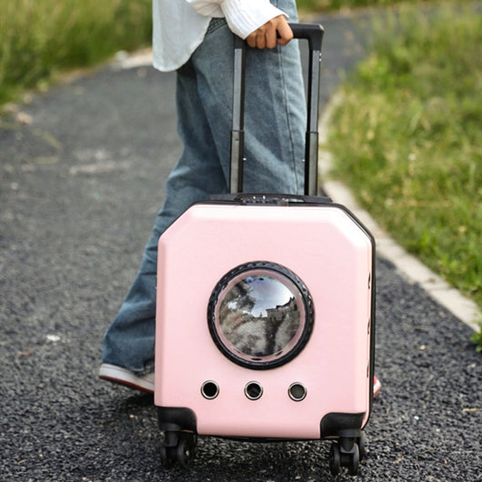 Carrito Transportín para Gatos - Maleta de Viaje Aeroportuada - Image 8