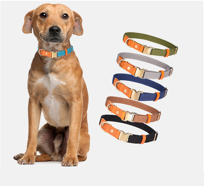 Collar de Cuero para Mascotas con Grabado Personalizado