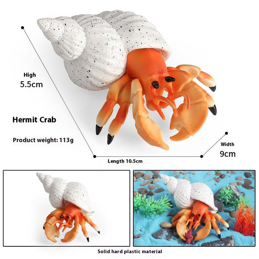 Juego Educativo de Animales Marinos Realistas para Niños - Image 71