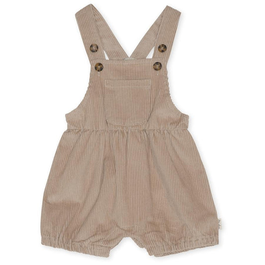 Pantalones Cortos de Pana para Niños - Comodidad y Estilo - Image 2