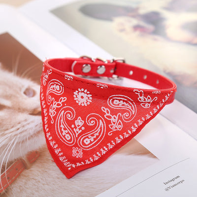 Pañuelo Triangular Absorbente para Collar de Perro - Image 10
