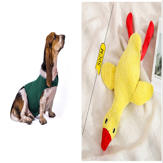 Chaleco Calmante para Mascotas - Ropa Terapéutica Antiansíedad para Gatos y Perros - Image 9