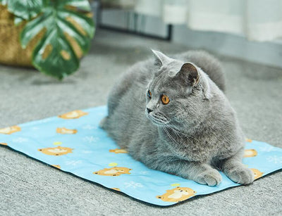 Tapete Refrigerante para Gatos - Colchoneta Fresca de Verano - Image 14