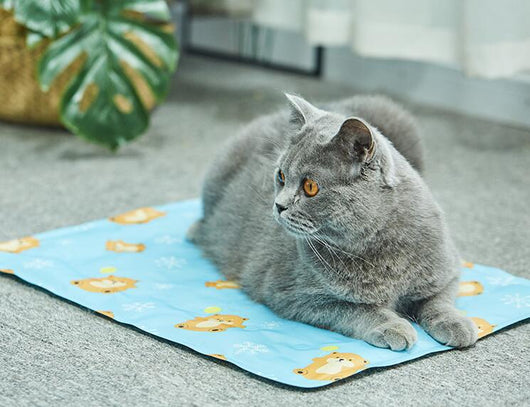 Tapete Refrigerante para Gatos - Colchoneta Fresca de Verano - Image 14