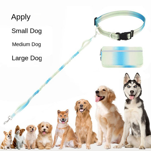 Correa para Perro Manos Libres - Cinturón Ajustable para Caminar, Trotar y Correr - Image 2