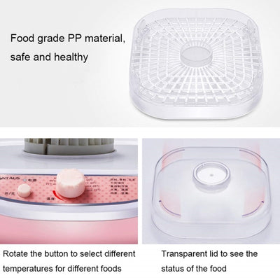 Deshidratador de Alimentos 5 Bandejas - Frutas, Verduras y Carnes Caseras - Image 12