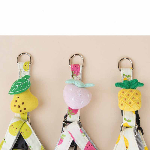 Collar y Correa para Perros con Estampado de Frutas - Colección Frutal