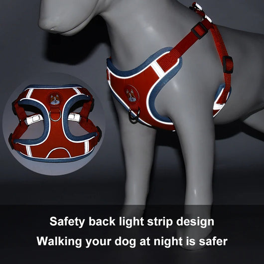 Arnés y Correa para Perro Pequeño - Set Ajustable con Reflectantes - Image 8
