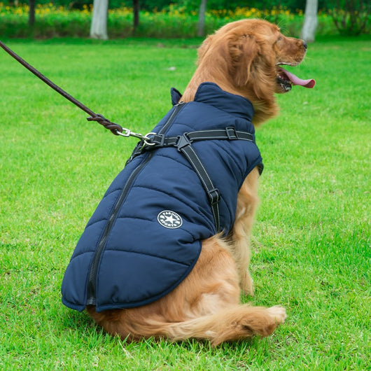 Abrigo Reflectante Impermeable para Perros Grandes - Chaleco Térmico Invierno - Image 3