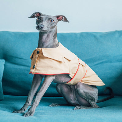 Abrigo de Algodón 100% para Perros - Ropa Cómoda y Práctica