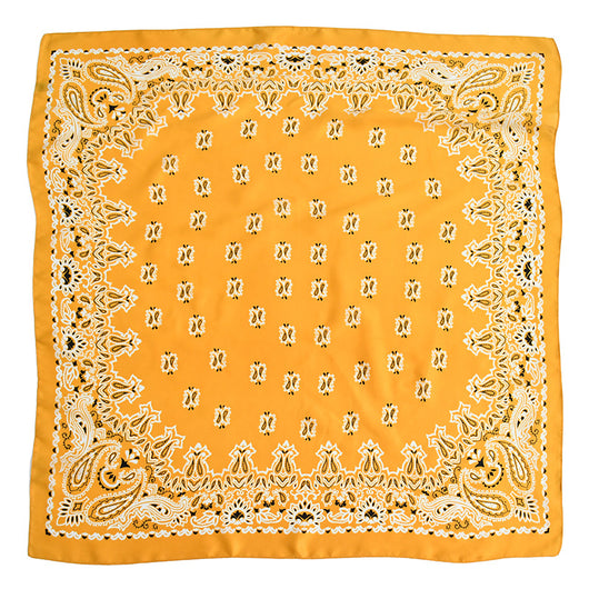 Pañuelo Profesional Estampado Paisley 70cm para Mujer - Image 17