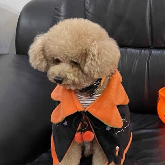 Capa Reversible de Calabaza para Perros - Disfraz Halloween Doble Cara - Image 10