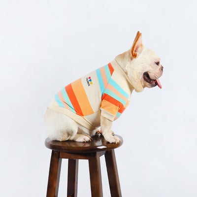 Ropa Colorida a Rayas para Perros - Image 4