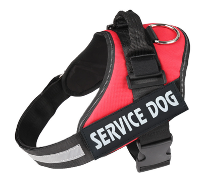 Arnés Antihalón Reflectante para Perros - Ajustable, Transpirable y Personalizable - Image 36