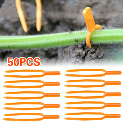 Clips Fijos para Guías de Plantas - 50 Unidades para Fresas, Sandías y Enredaderas - Image 7