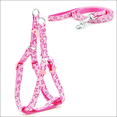 Arnés Pechera para Perros Pequeños y Medianos con Estampado de Lunares - Image 11