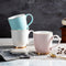 Taza de Cerámica Morandi para Té y Café