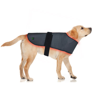 Dispositivo de Fototerapia Infrarroja para Mascotas - Tamaño L con Temporizador Inalámbrico - Image 18