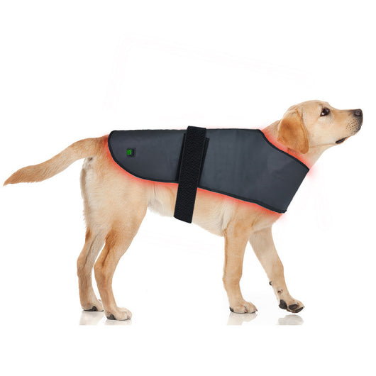 Dispositivo de Fototerapia Infrarroja para Mascotas - Tamaño L con Temporizador Inalámbrico - Image 18