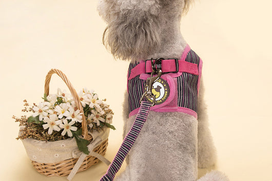 Arnés Chaleco Vaquero con Cuerda de Tracción para Perros - Image 19