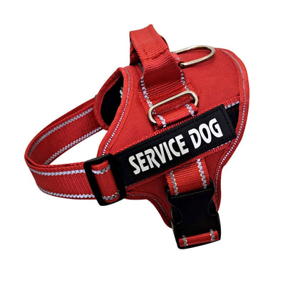Arnés Reflectante Personalizado para Perros - Image 5