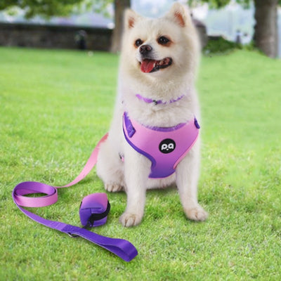 Arnés de Cuerpo con Correa Manual para Perros