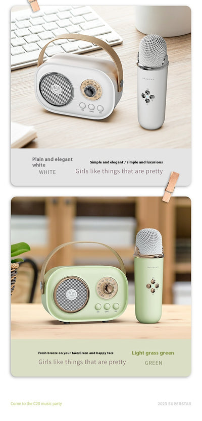Sistema de Audio Bluetooth Portátil con Micrófono Inalámbrico - Image 17