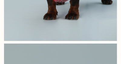 Chaleco sin Mangas para Perro Pequeño Rayas Rojo - Image 9
