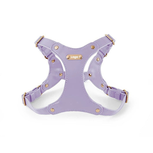 Correa Portátil de Cuero Suave para Perros Pequeños - Image 3