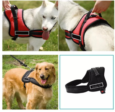 Arnés de Pecho para Perros Medianos y Grandes con Correa Antiextravío - Image 7