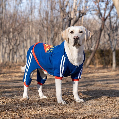 Ropa para Perros Grandes - Colección Año Completo Talla Mediana-Grande - Image 11
