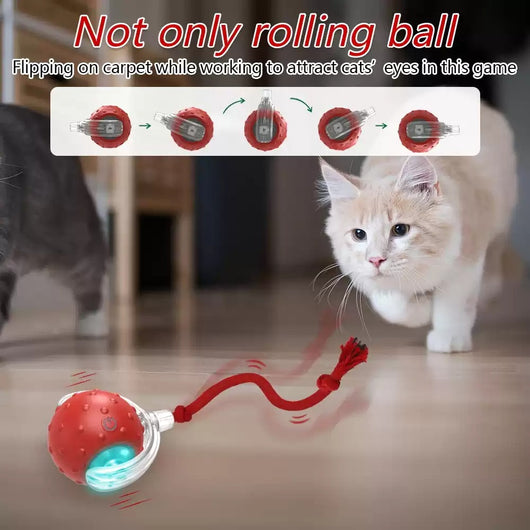 Red interactive cat toy ball with clear shell and glowing blue light, attached to a red rope, next to a playful tabby kitten. - Image 9