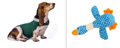 Chaleco Calmante para Mascotas - Ropa Terapéutica Antiansidad para Gatos y Perros - Image 4
